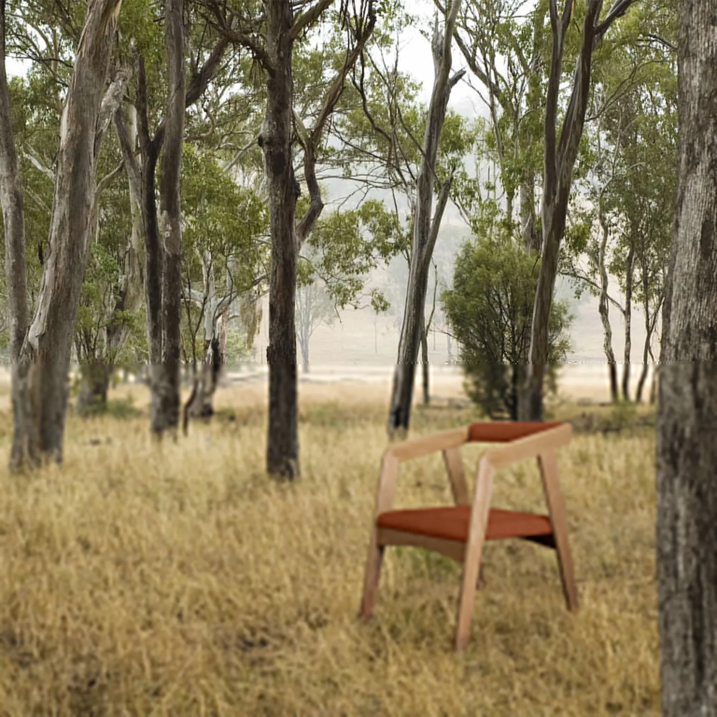 Ascot Chair